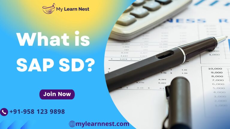 What is SAP SD, Learn SAP SD, Why SAP SD, SAP SD Training
